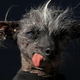 Photo: Getty Images